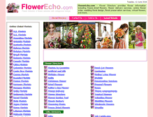 Tablet Screenshot of flowerecho.com